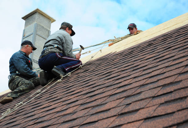 Best Commercial Roofing Services  in Everman, TX